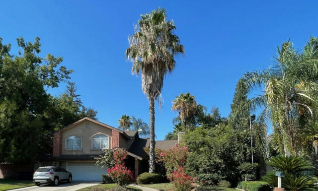 1164 MILL ST, SELMA, CA 93662 - Image 1