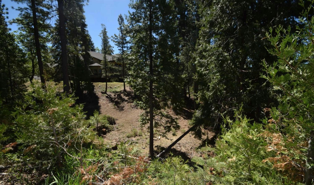 42568 OPAL LN # LOT67, SHAVER LAKE, CA 93664, photo 1 of 4