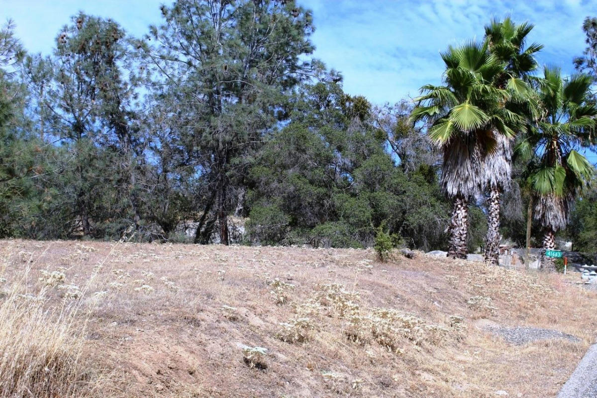 0 LONG HOLLOW DRIVE, COARSEGOLD, CA 93614, photo 1 of 14