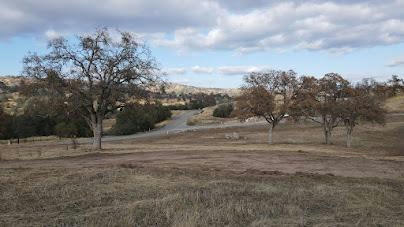 1 ROAD 400 LOT 1603, COARSEGOLD, CA 93614, photo 1 of 24