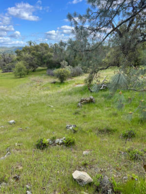 1 TIOGA-LOT 2150 DRIVE, COARSEGOLD, CA 93614, photo 5 of 7