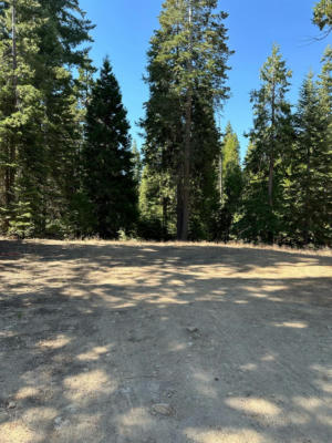 21 FOXGLOVE LANE, SHAVER LAKE, CA 93664 - Image 1