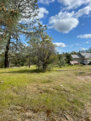 1 TIOGA-LOT 2150 DRIVE, COARSEGOLD, CA 93614, photo 2 of 7