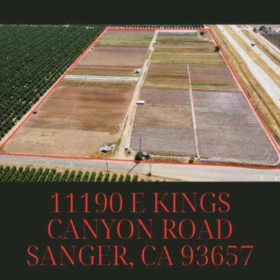 11190 E KINGS CANYON RD, SANGER, CA 93657 - Image 1