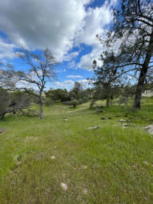 1 TIOGA-LOT 2150 DRIVE, COARSEGOLD, CA 93614, photo 4 of 7