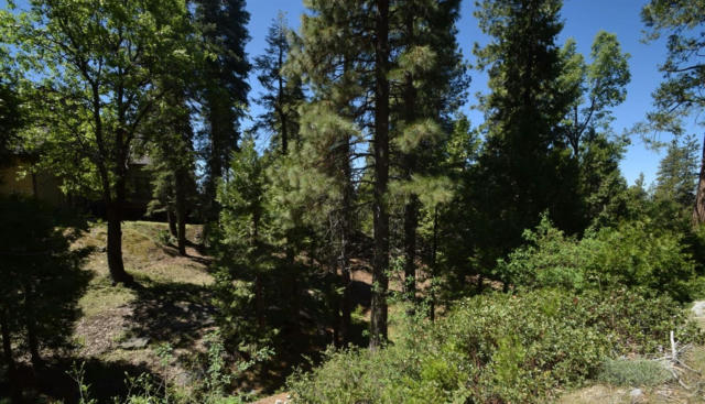 42568 OPAL LN # LOT67, SHAVER LAKE, CA 93664, photo 4 of 4