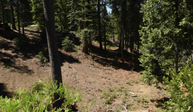 42568 OPAL LN # LOT67, SHAVER LAKE, CA 93664, photo 3 of 4