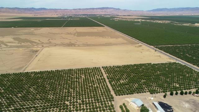 0 W JAYNE AVENUE, COALINGA, CA 93210, photo 3 of 8