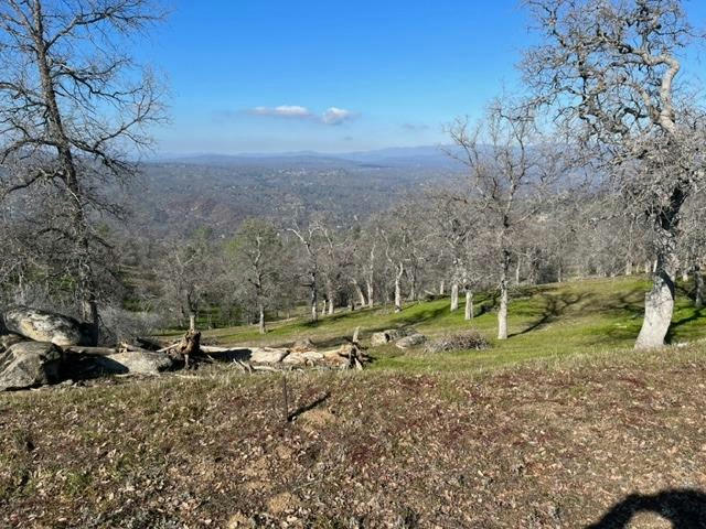 0 LILLEY MOUNTAIN DRIVE, COARSEGOLD, CA 93614, photo 1 of 5