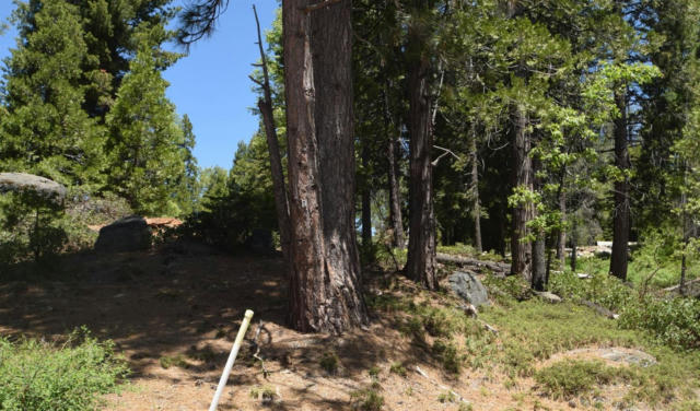 43327 GARNET LN # LOT32, SHAVER LAKE, CA 93664, photo 3 of 12