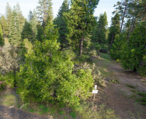 0 LEOPARD LILLY LN, SHAVER LAKE, CA 93664 - Image 1
